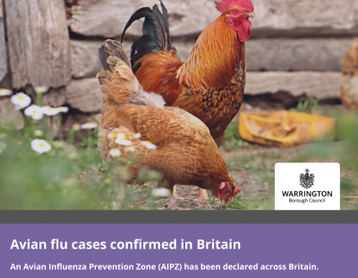 Avian flu cases confirmed in Britain