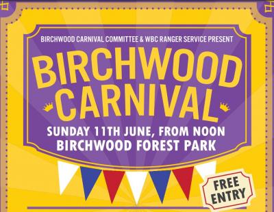 Image of the official Birchwood Carnival logo, featuring a pennant design.