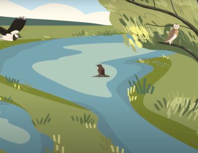 Animated image of nature scene, featuring birds, water and green space.